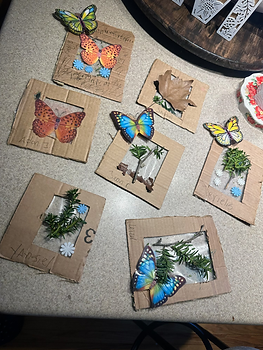 butterflies love.HEIC