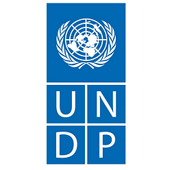 UNDP logo.webp