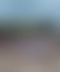 EL 8 M 2026 EN PASO DE LOS LIBRES DESDE COSTANERA HASTA LA PLAZA.