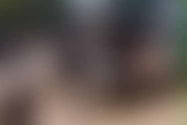 A CASI 10 MESES LLEGAN CANES PARA LA CONTINUIDAD DE LA BÙSQUEDA DE SANTIAGO SUAREZ.