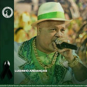 PESAR EN ZUM ZUM TRAS EL FALLECIMIENTO DEL RECONOCIDO INTERPRETE BRASILEÑO LUIZINHO ANDANCAS