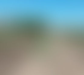 VECINOS RECLAMAN / "FALTA AGUA EN SECTOR BARRIO NUEVO LOTEO DEL PALMAR HACE DOS SEMANAS".