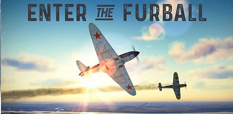 enter_the_furball_Super_Stub.jpg