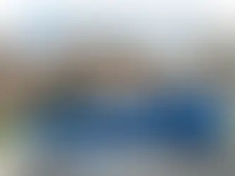 dumpster bin rental milton