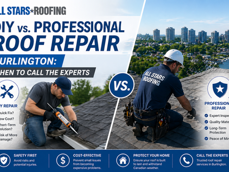 DIY vs. Professional Roof Repair