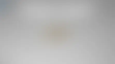 7 signs your roof is leaking