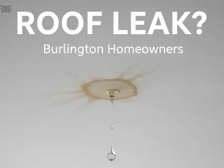 7 signs your roof is leaking