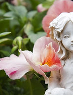 photo of angel statue by an orchid flower