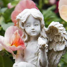 Angel Spray