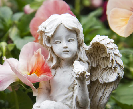 Angel Spray