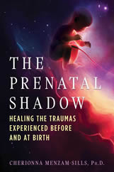 The Prenatal Shadow: Healing the Trauma Experienced Before and At Birth