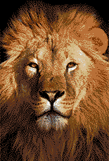 Mosaic Art Lion