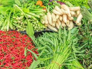 Microbiome Defense Playbook for Children and Families