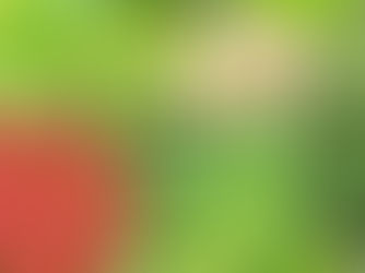 Microbiome Defense Playbook for Children and Families