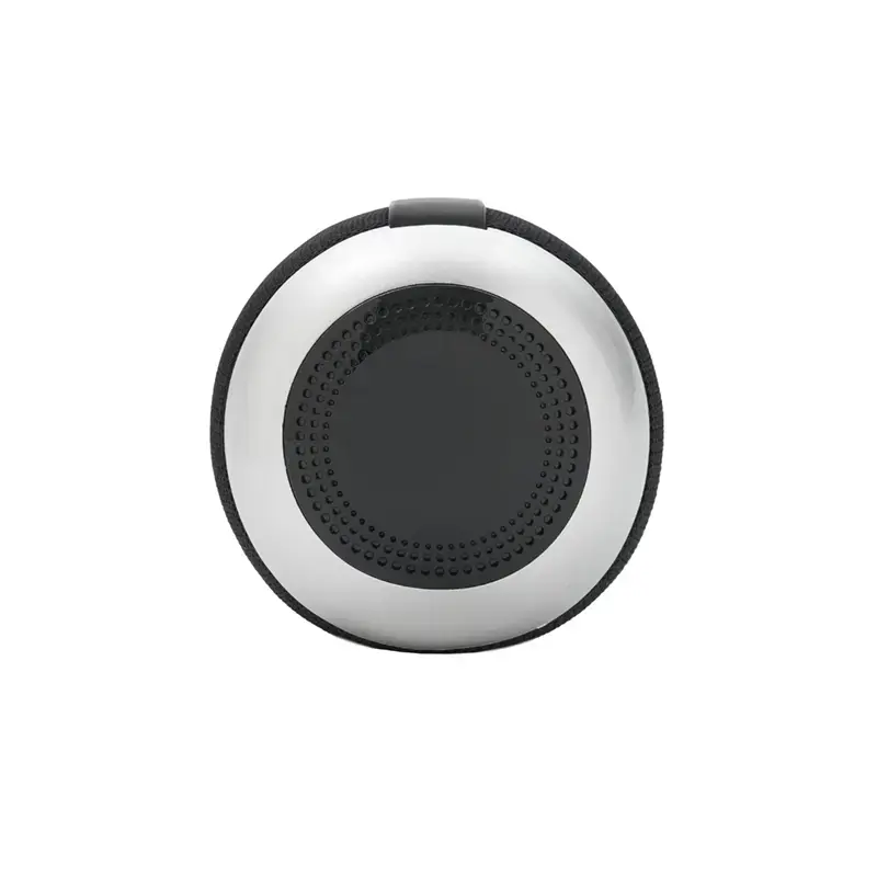 Miniatura: Parlante Polifonic