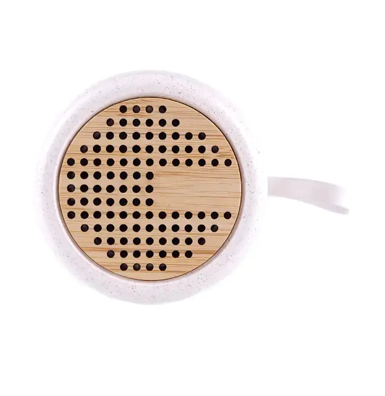 Miniatura: Parlante Noise