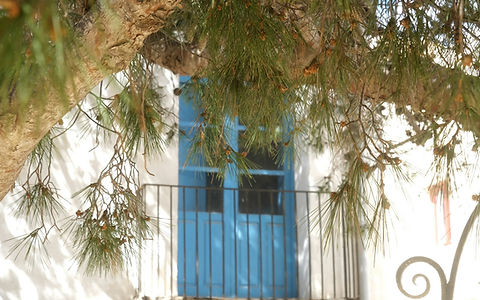 Balkon kapısına toz geçirmeyen sineklik