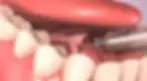 9.webp