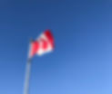 IMG-0955.jpg