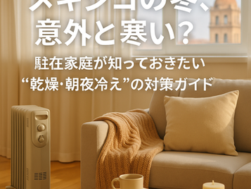 メキシコの冬、意外と寒い?|駐在家庭が知っておきたい“乾燥・朝夜冷え”の対策ガイド