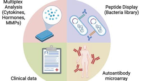 Une nouvelle étude a identifié deux sous-types distincts d'EM