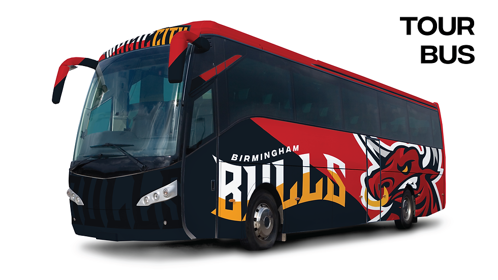 Bulls Final Presentation-16.png