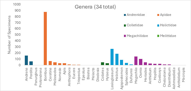 BC Bee Atlas data for 2024! We have found all six of the bee families present in BC, and 34 of the 42 genera known to occur here. Data produced by NBSBC / OSU.
