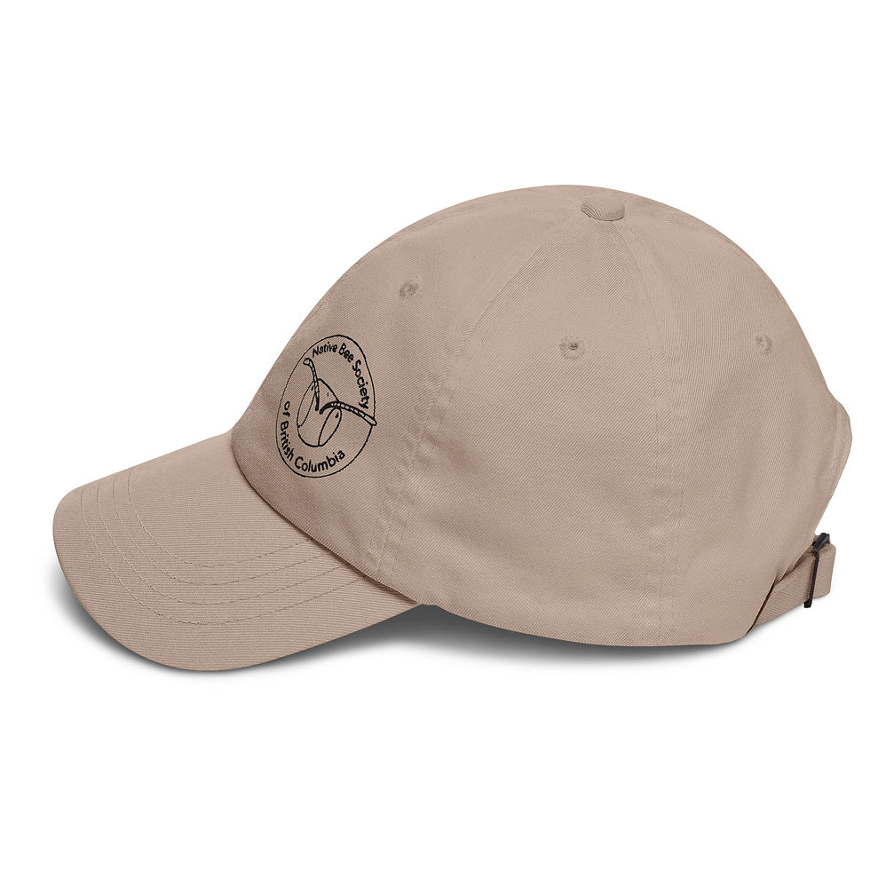 Thumbnail: NBSBC embroidered logo hat