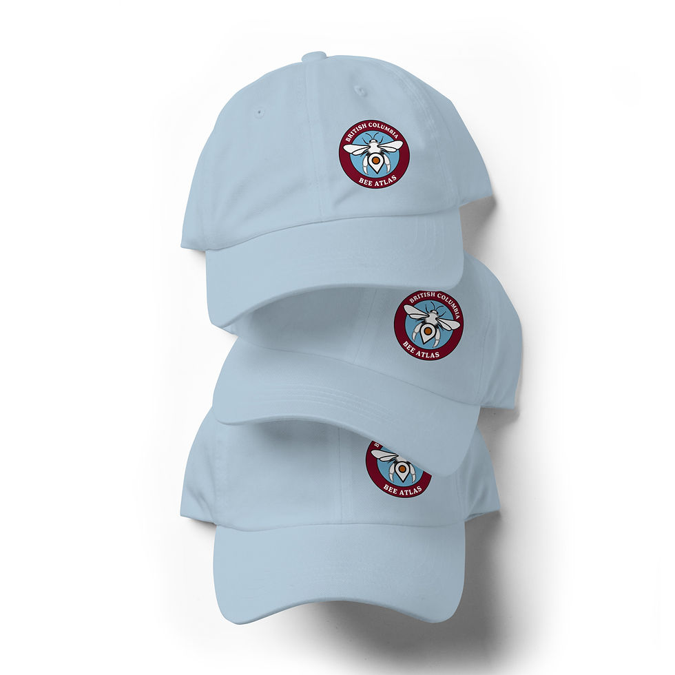 Thumbnail: BC Bee Atlas Hat