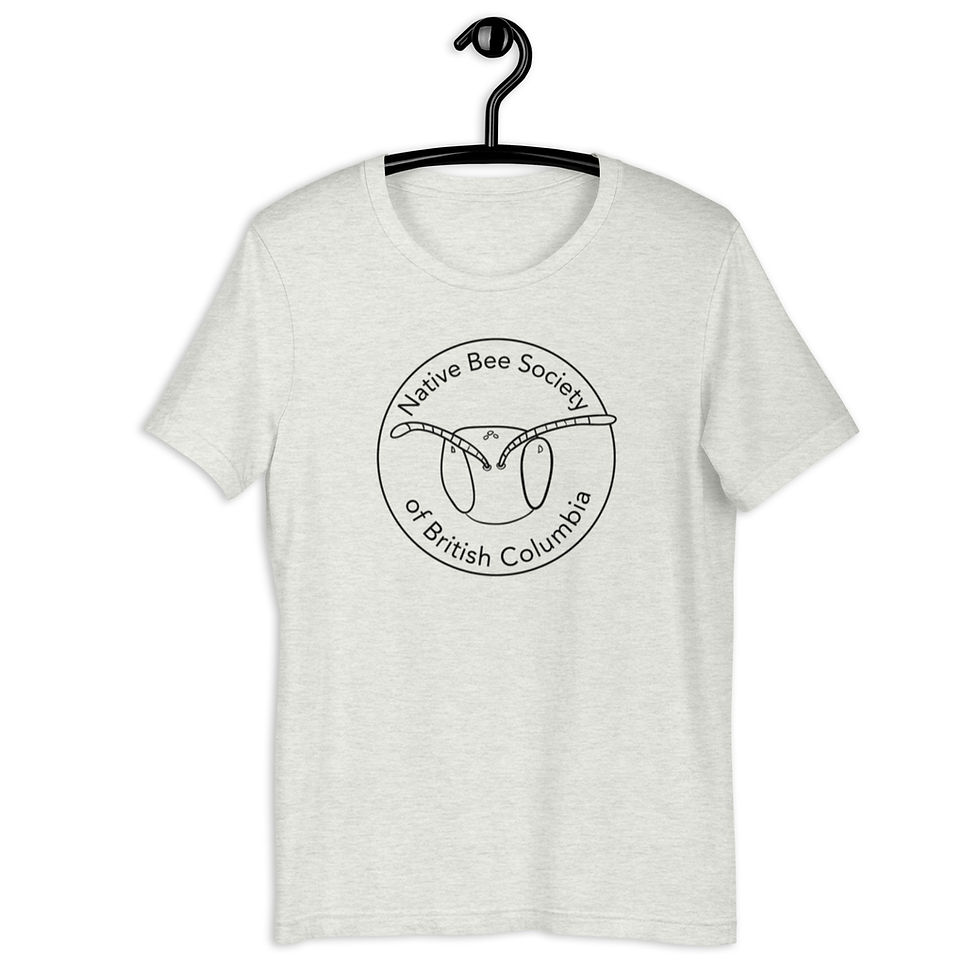 Thumbnail: NBSBC Logo Bright Unisex t-shirt