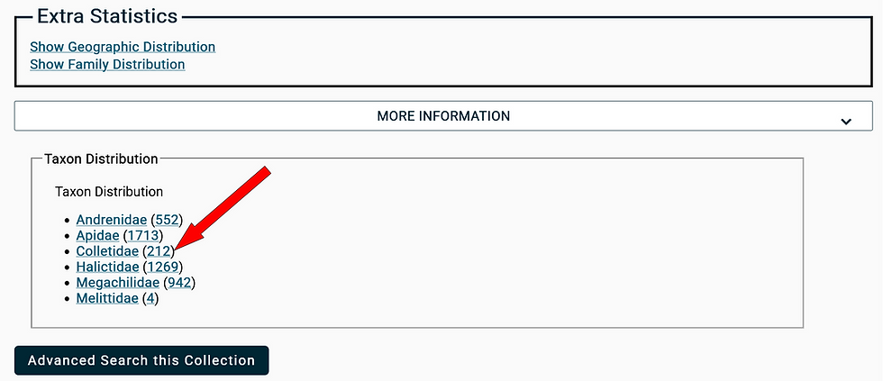 (ecdysis NBSBC profile page closeup of More Information dropdown menu with arrow pointing to Colletidae with the number 212 in brackets)