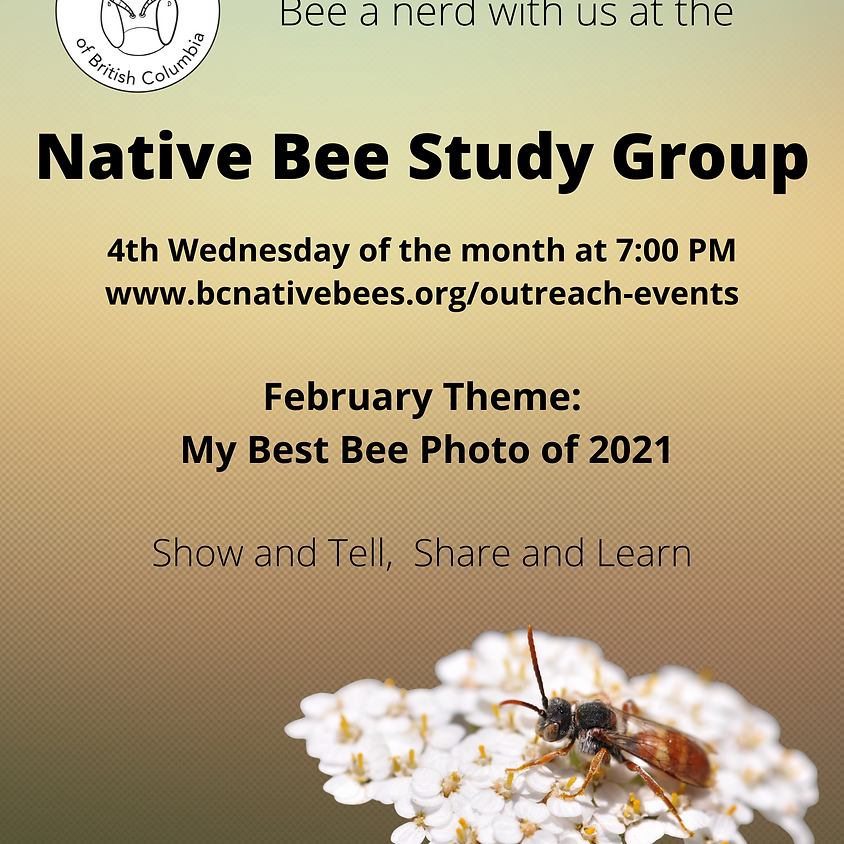 Native Bee Study Group