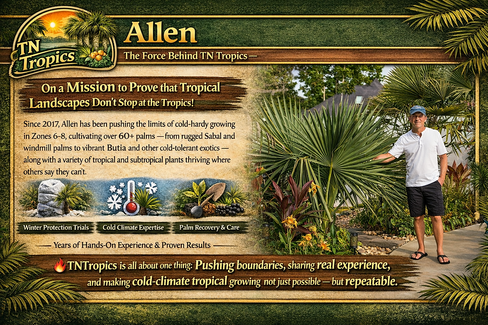 TNTropics Allen Promotional Graphic