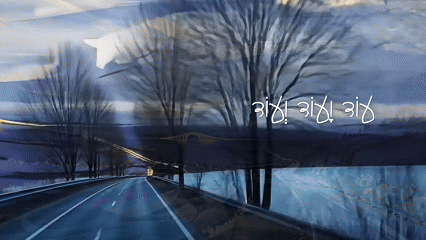 seara3.gif