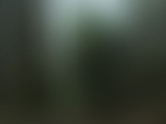 Pete's Dragon Full Movie With English Subtitles Online Download Caspead