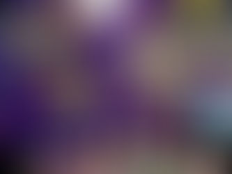 Puzzler's Bulletin 43