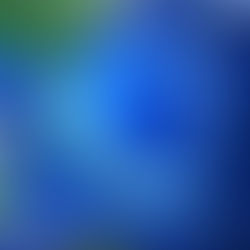 Puzzler's Bulletin 40