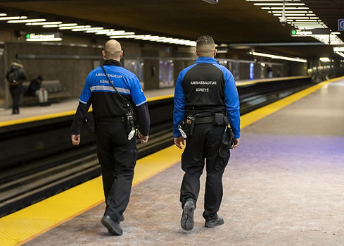 STM.jpg