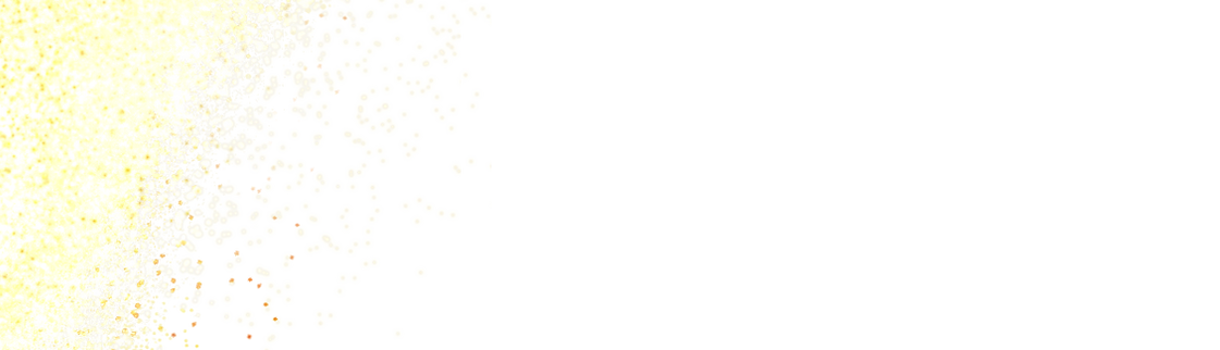 paillettes_edited.png