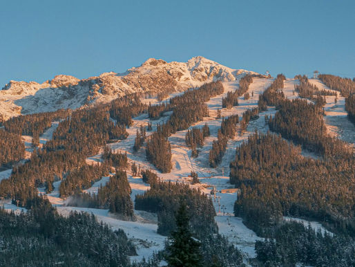 Whistler