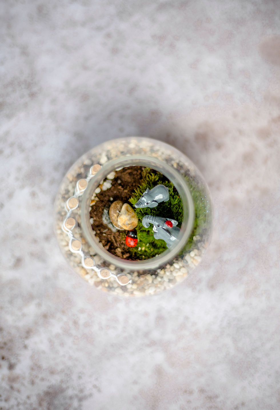 Terrarium Picnic
