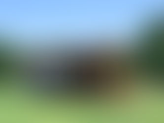 Living Small, Living Big: Lessons from Simplifying Your Life