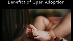 Did You Know? Adoption, by Laurel G. Stein