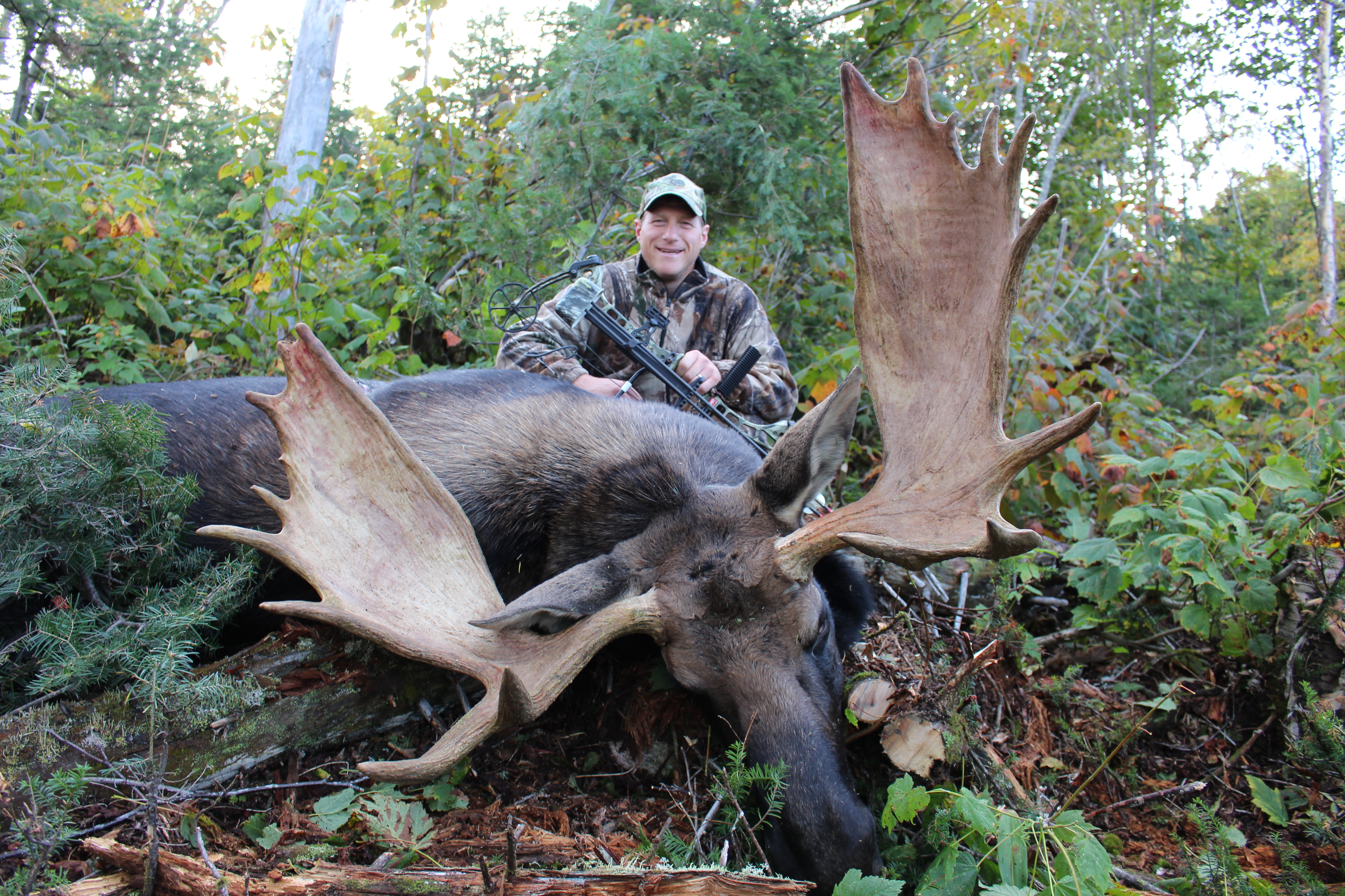 Forfait chasse à l'orignal — Biff Ventures Outfitters – Biff Ventures Outfitters