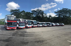 bus 8.jpeg