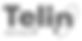 CarbonEthics - Telin logo edited