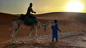 A Journey Beyond Travel - Sahara Desert Expedition with Wildeye Adventures