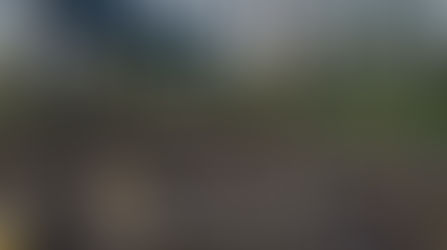 Bushcraft birthday Parties - Children's parties - Outdoor Activities - Outdoor Adventure - Outdoor Kids Parties London Buckinghamshire & Kent