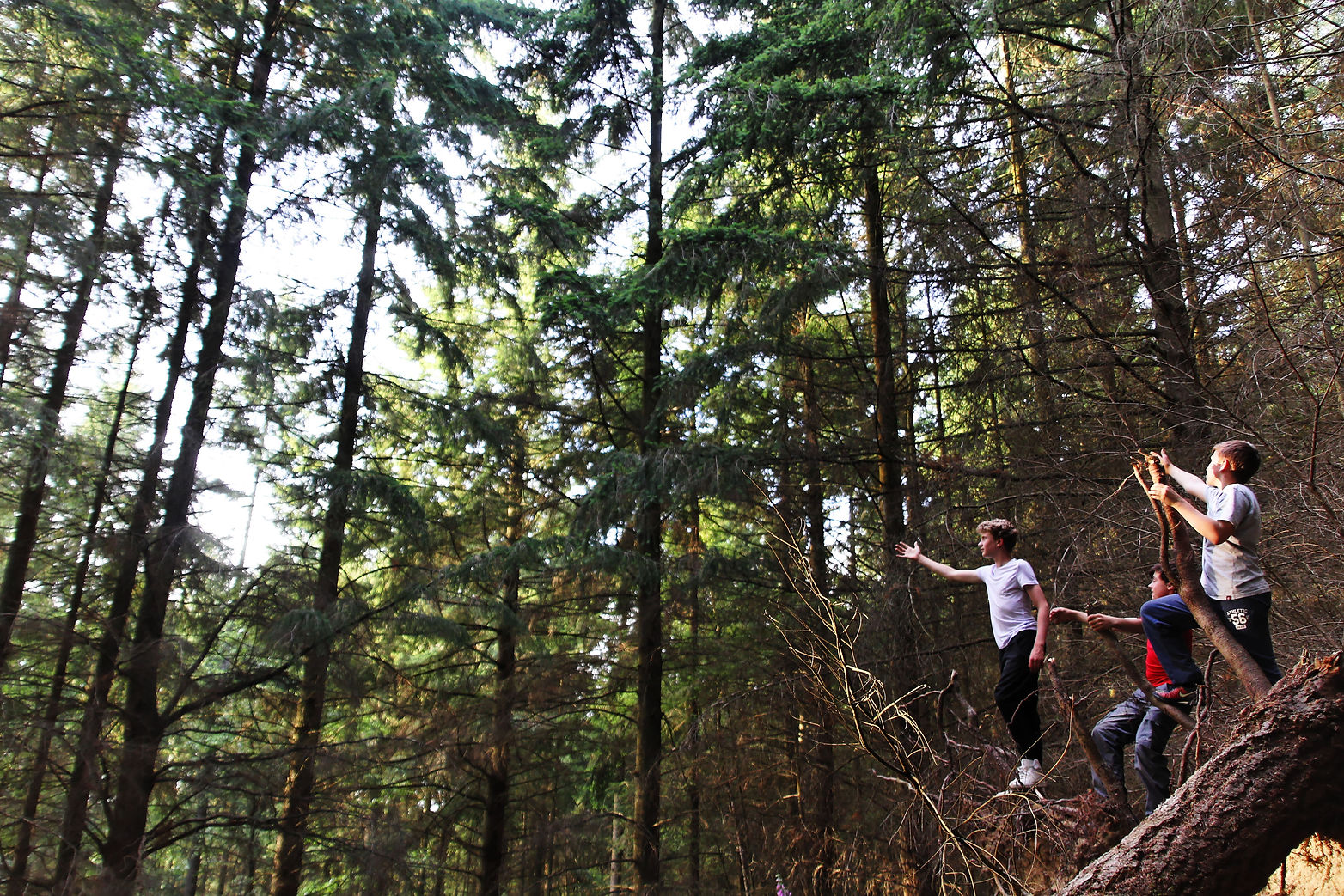 Kids in woods.jpg