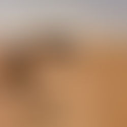 Is a Sahara Desert Expedition Right for Me? Sahara Expedition Morocco 